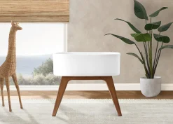 Aero Bassinet