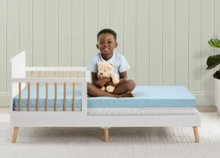 Ionic Breathe Crib and Toddler Mattress with Cloud Core