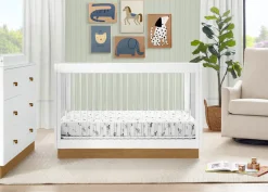 James Acrylic 4-in-1 Convertible Crib