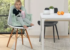Milestone 6-in-1 High Chair